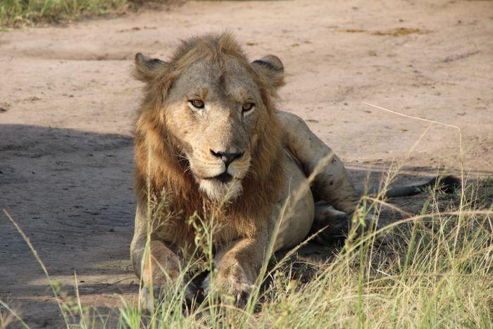 Queen Elizabeth National Park