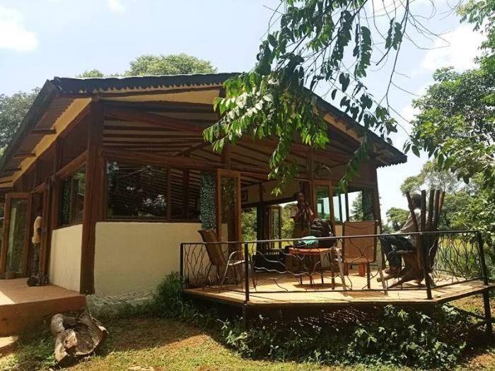 Nkima Forest Lodge