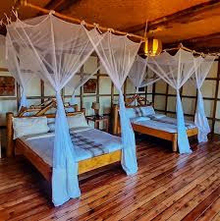 Buhoma Haven Lodge 